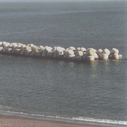 靜岡縣富士海岸